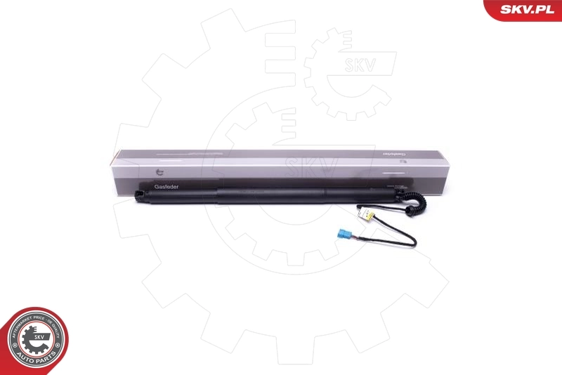 Electric Motor, tailgate